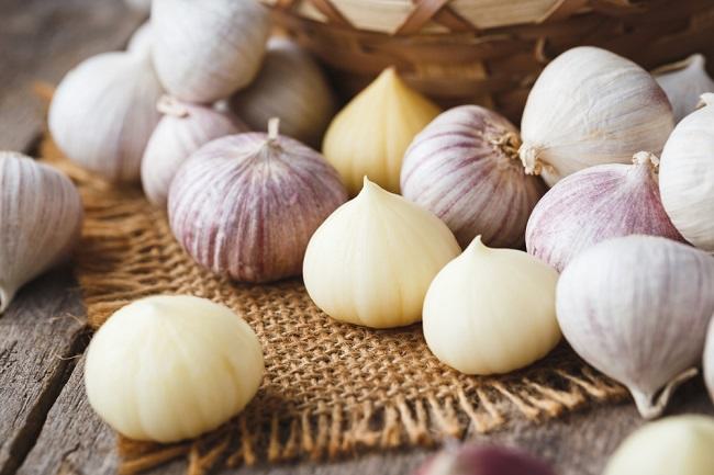 Bawang Putih Tunggal: Varietas Unik dengan Segudang Manfaat