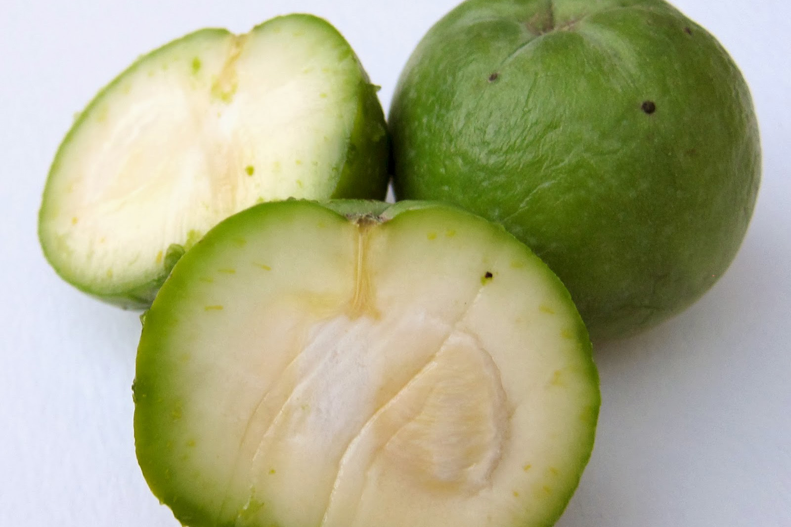 Buah Casimiroa: Buah Tropis dengan Rasa Manis yang Menggoda