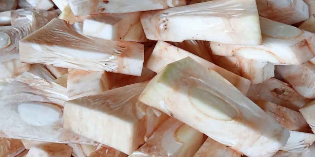 Nangka Muda: Bahan Serbaguna dalam Masakan Tradisional