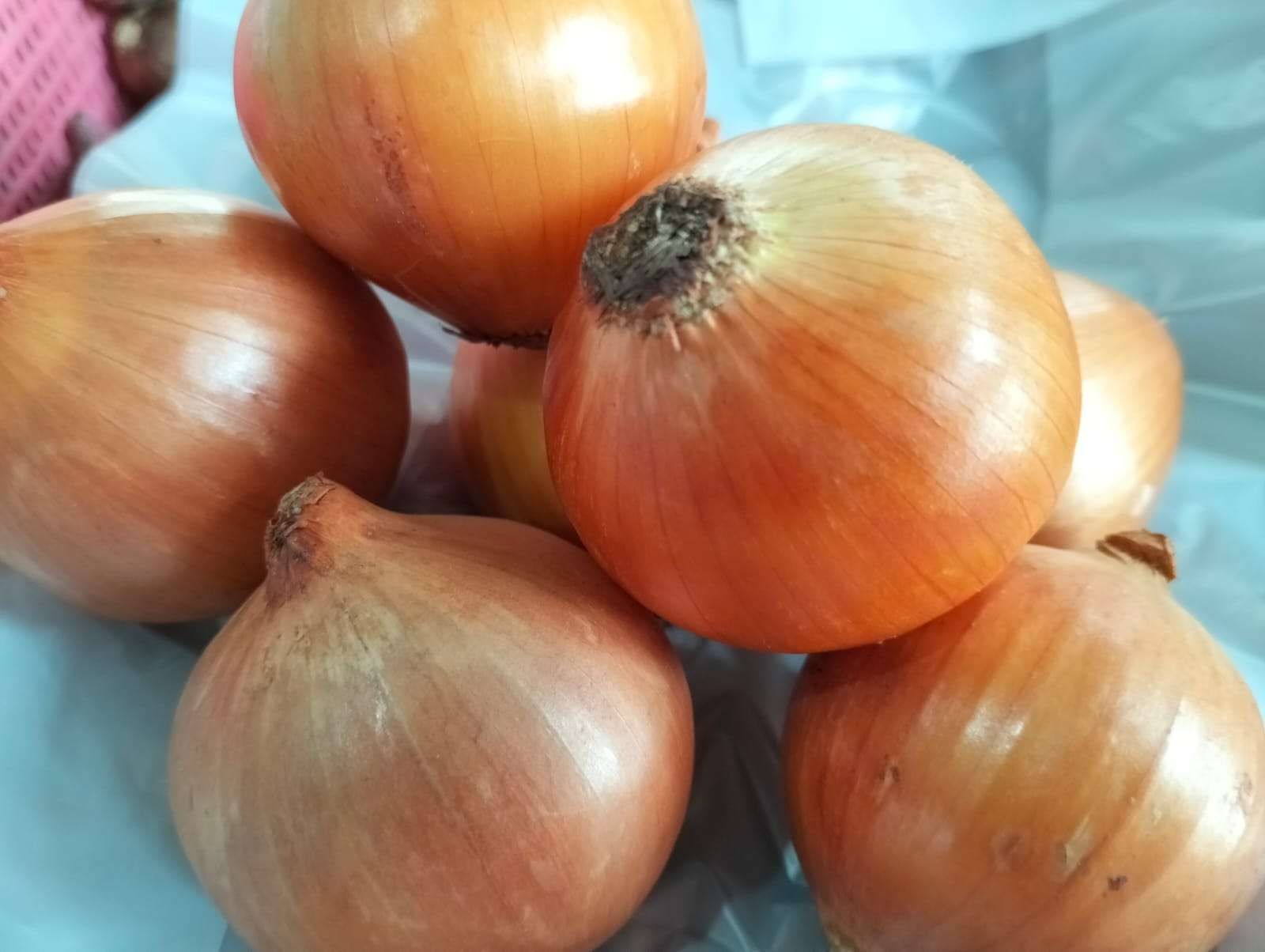 Bawang Bombay: Bumbu Aromatik dengan Segudang Manfaat