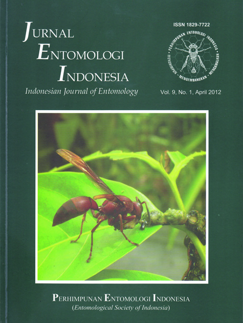 Serangga Anagrus nilaparvatae: Pengendali Hayati Nusa Tani