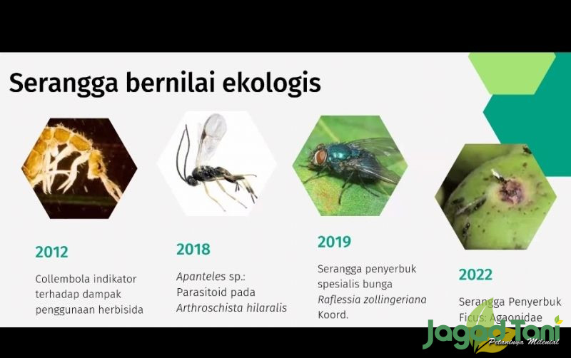 Ulat Hutan Serangga: Karakteristik dan Peran Ekologisnya