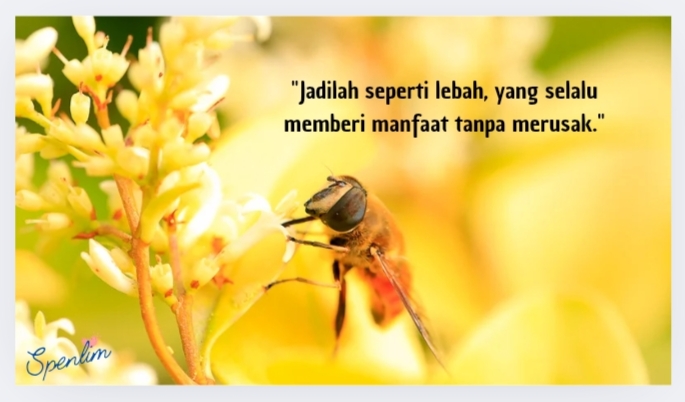 Lebah Madu: Serangga Penting dalam Ekosistem dan Peranannya